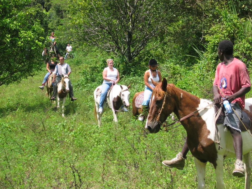 Horseback Ride through the Rainforest